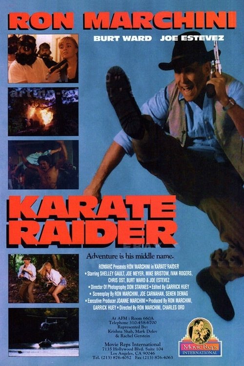 Karate Raider movie poster