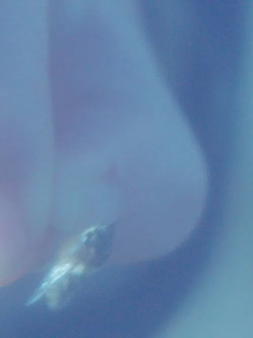 Diapason 440 movie poster