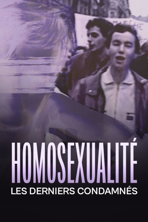 Homosexualité, les derniers condamnés movie poster