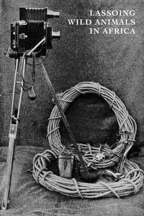 Lassoing Wild Animals in Africa movie poster