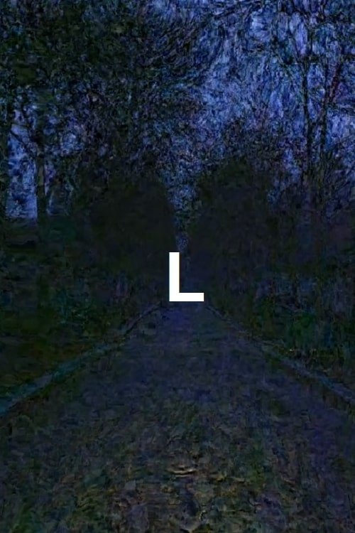 L movie poster