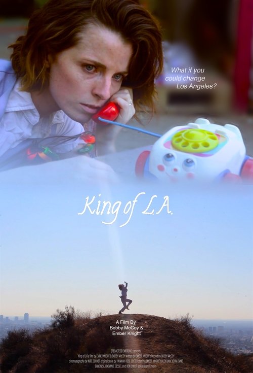 King of LA movie poster