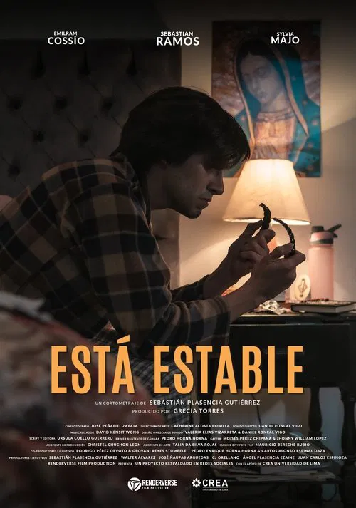 She Is Stable movie poster