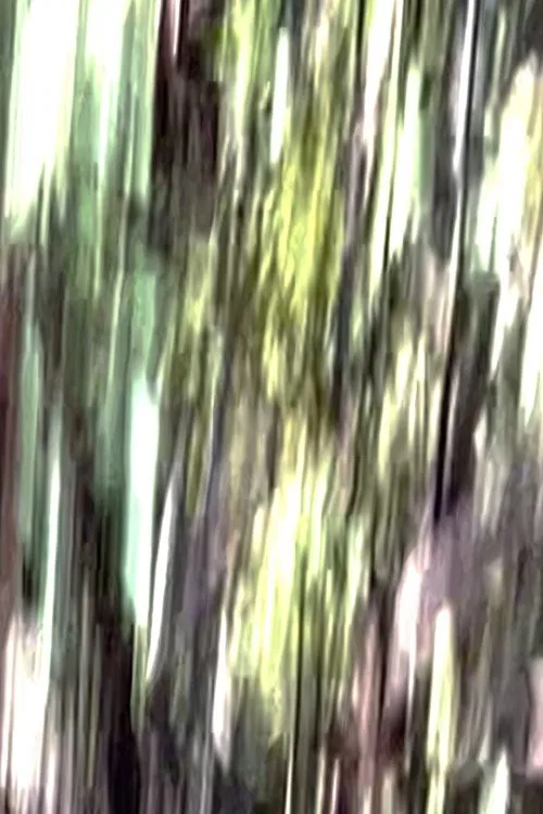 Poster do filme Daybreaks