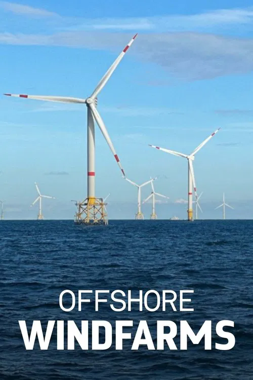 Windparks im Meer - Chance oder Risiko für die Natur? movie poster