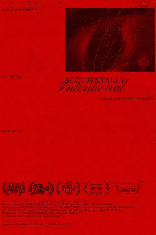 Accidentally Intentional movie poster