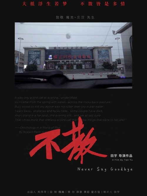 Never Say Goodbye movie poster
