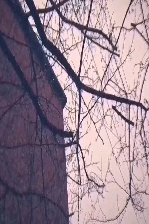 Hometown Searching movie poster