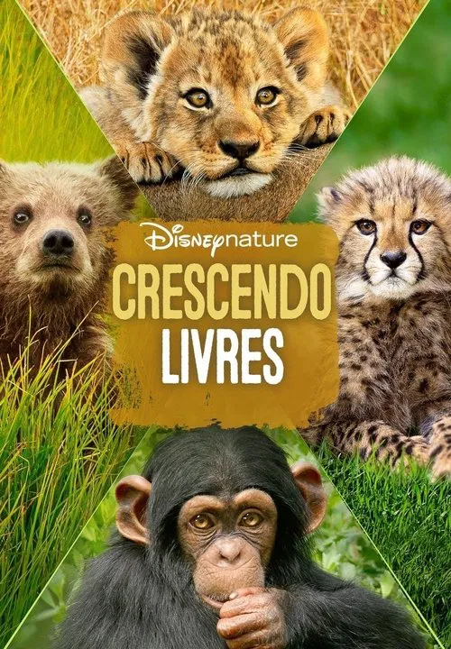 Poster do filme Crescendo Livres