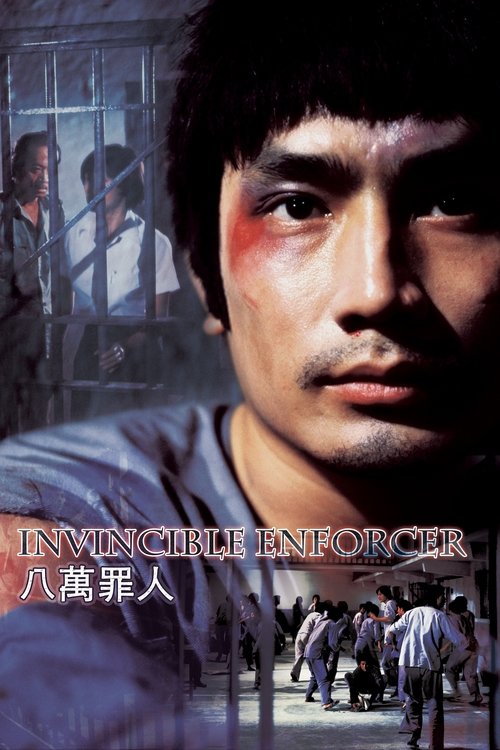 Invincible Enforcer movie poster