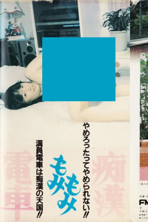 Molester Groping Train movie poster