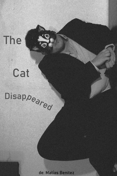 The Cat Disappeared movie poster