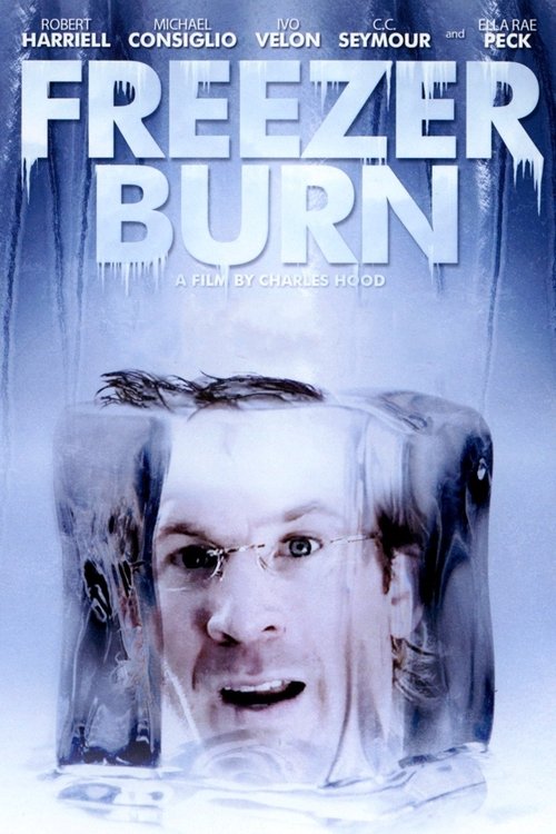 Freezer Burn movie poster