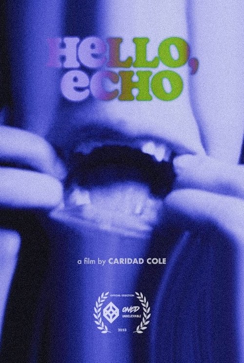 Hello, Echo movie poster