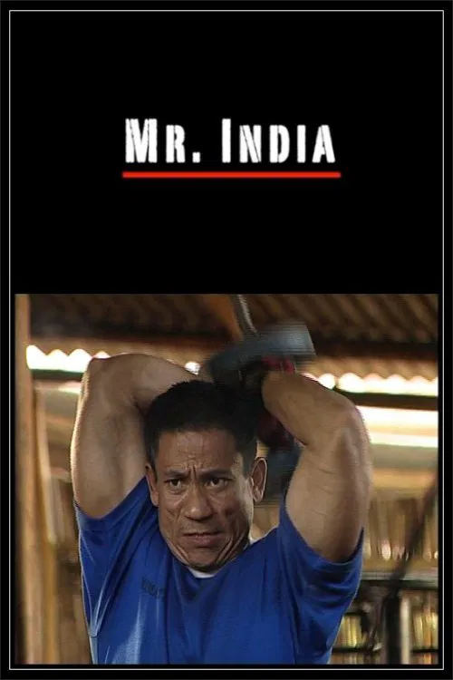 Poster do filme Mr. India