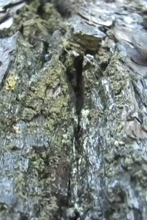 3 Parts for Today movie poster