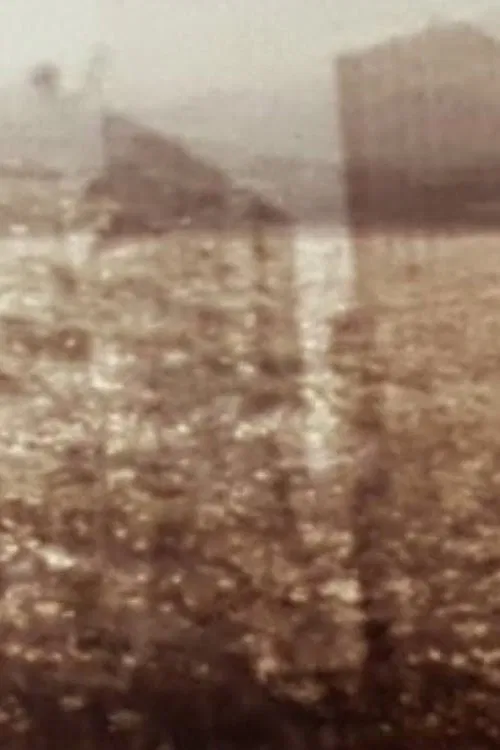 Poster do filme Mesmo Rio - Same River