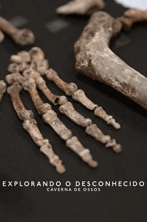 Poster do filme Explorando o Desconhecido: Caverna de Ossos
