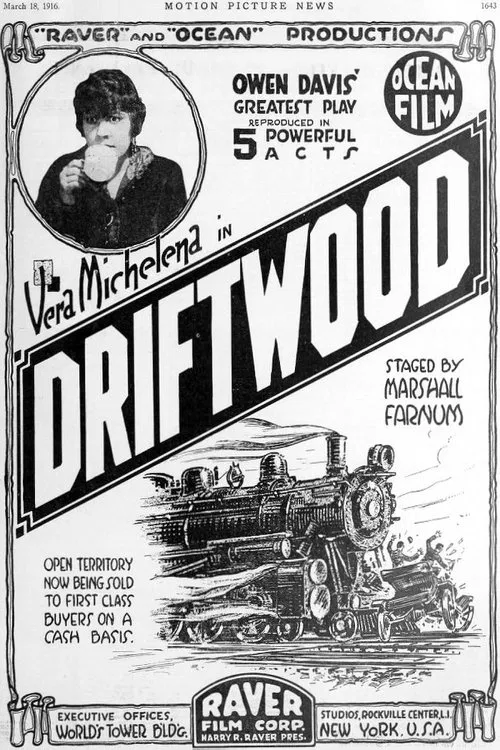 Poster do filme Driftwood