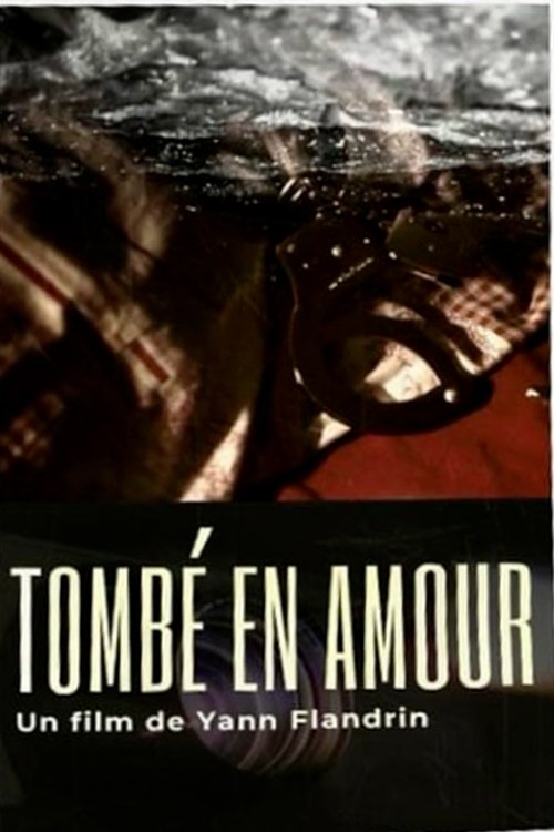 Poster do filme Tombé en amour