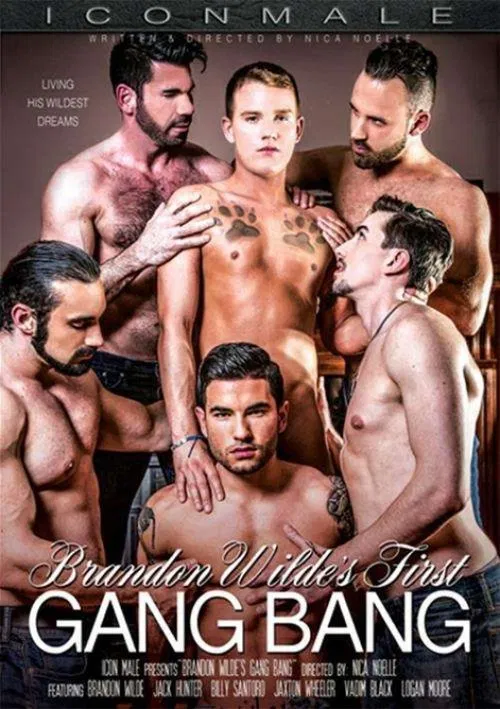 Brandon Wilde's First Gangbang movie poster