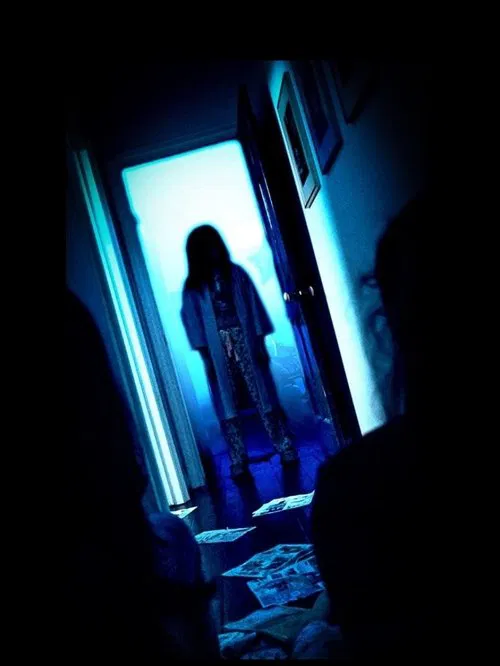 Poster do filme Stray Dog