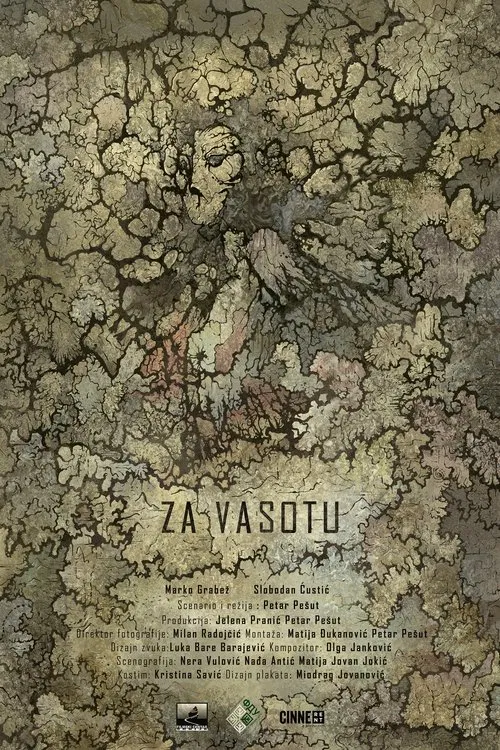 To Vasota movie poster