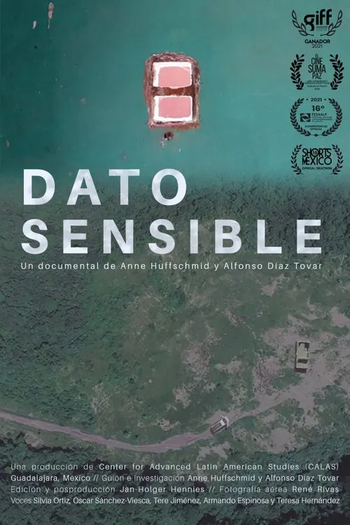 Sensitive Data movie poster
