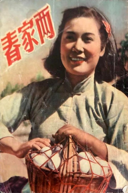 两家春 movie poster