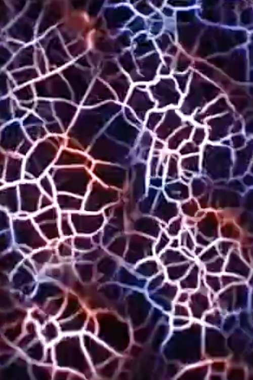 Compound Eye movie poster