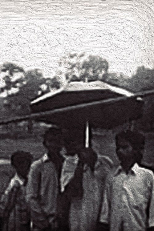 Den of Tigers movie poster