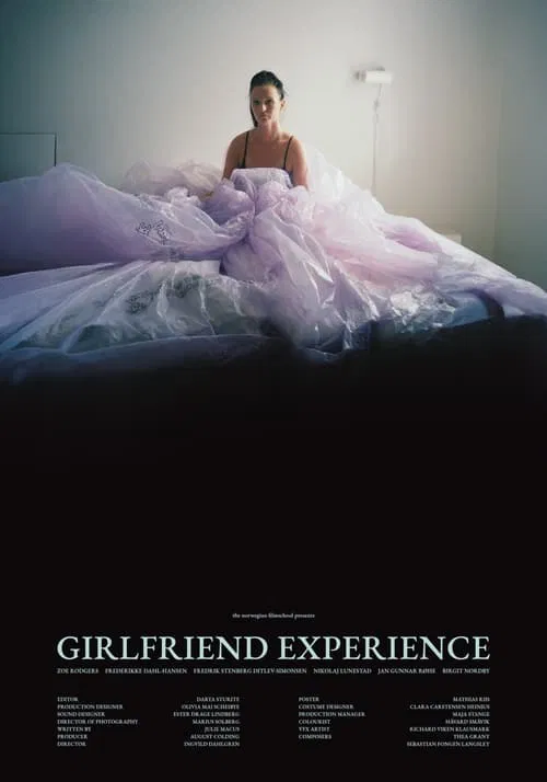 Poster do filme Girlfriend Experience