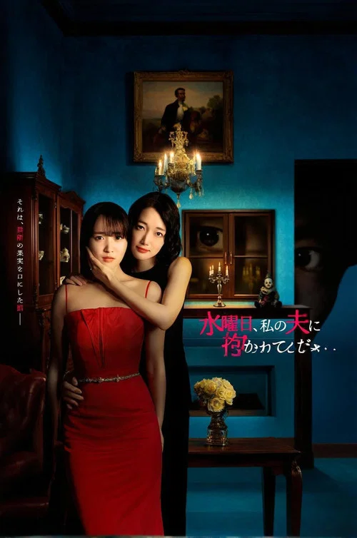 Suiyobi, Watashi no Otto ni Dakarete Kudasai tv show poster