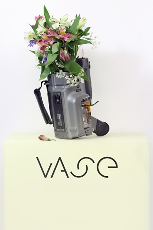 Vase movie poster