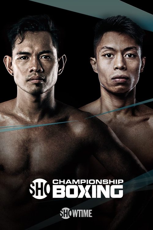 Nonito Donaire vs. Reymart Gaballo movie poster