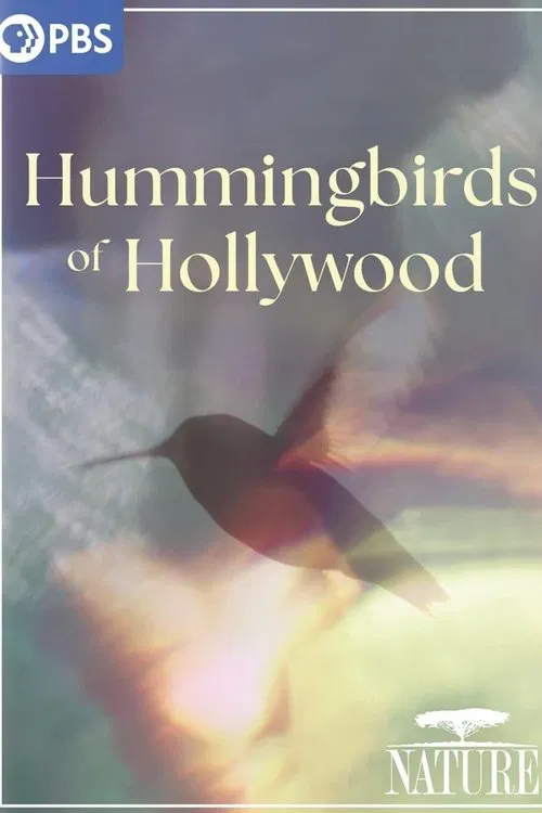 Hummingbirds of Hollywood movie poster