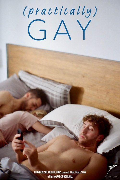 (Practically) Gay movie poster