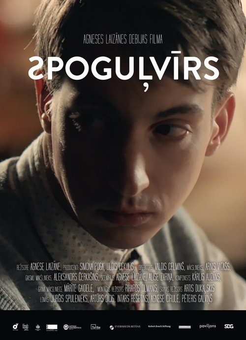 Poster do filme Mirror Man