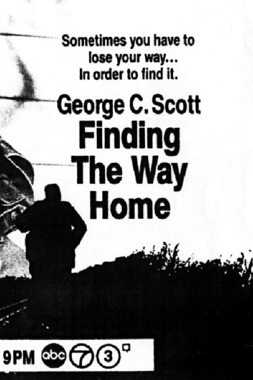 Finding the Way Home movie poster