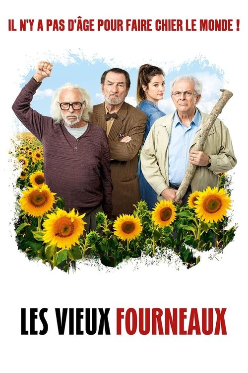 Tricky Old Dogs movie poster