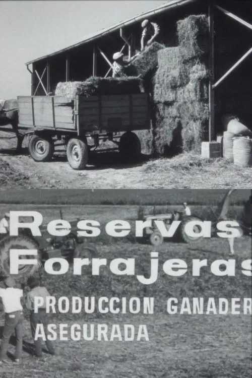 Reservas forrajeras, producción ganadera asegurada movie poster