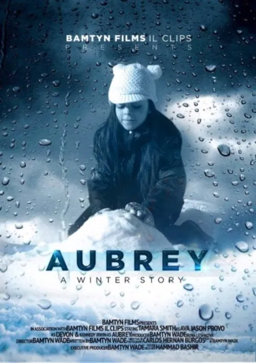 A Winter Story movie poster