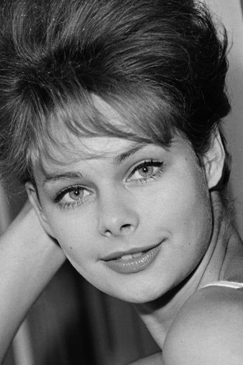 Karin Heske profile picture