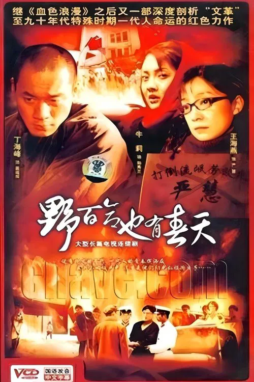 野百合也有春天 tv show poster