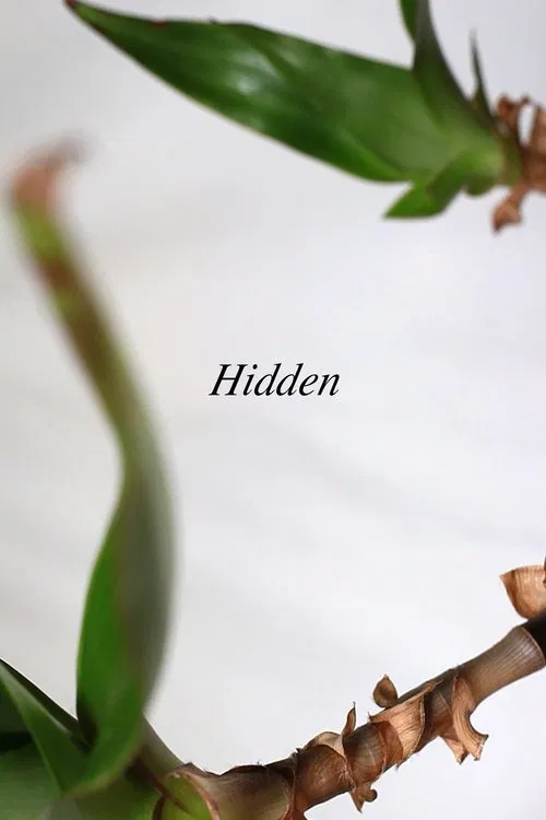 Hidden movie poster