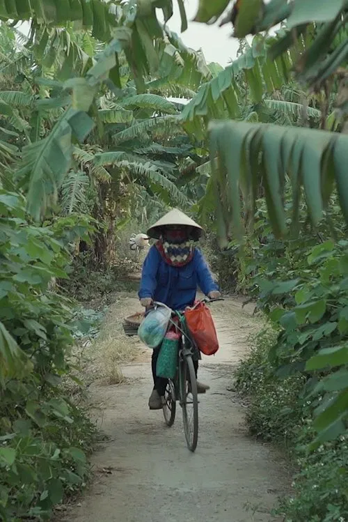 Poster do filme Light Wind Land