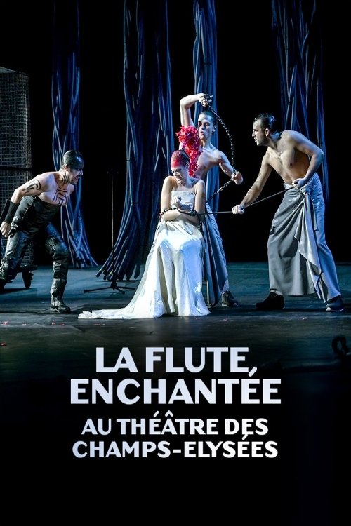 La flûte enchantée au Théâtre des Champs Elysées movie poster