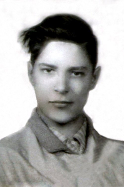 Boris Amaranth profile picture