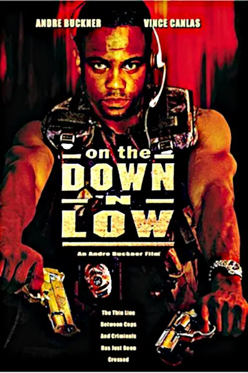 On the Down 'n Low movie poster