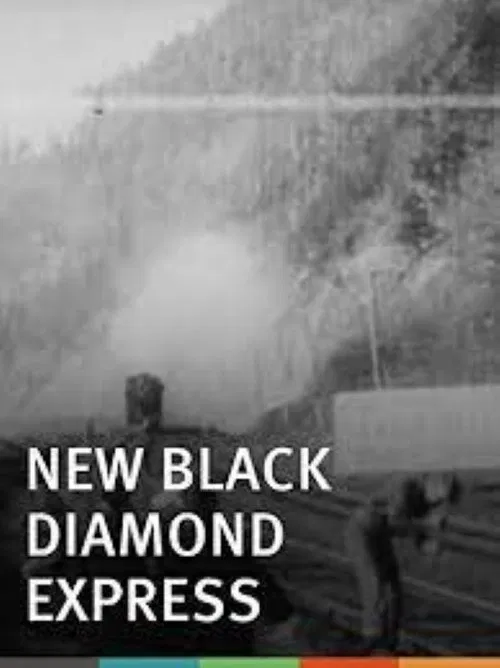 New Black Diamond Express movie poster